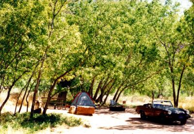 my car at Zion